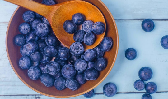 ¿Los perros pueden comer arándanos?