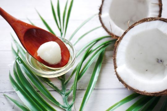 Aceite de coco para perros, gatos y hurones