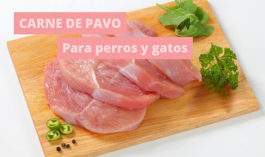 ¿Los perros pueden comer pavo?