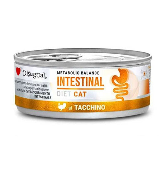 Disugual lata húmeda intestinal de pavo para gatos