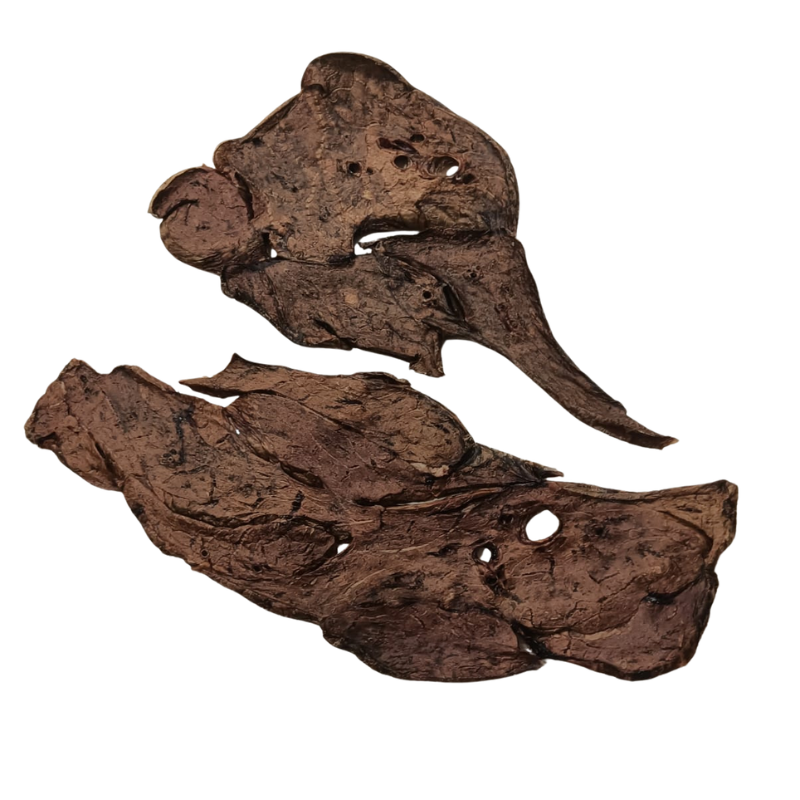 Pulmón de ternera para perros y gatos - Snack natural
