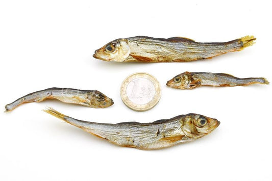 Capelán para perros y gatos - Snack natural