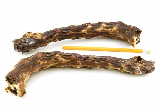 Cuello de pavo para perros - Snack natural