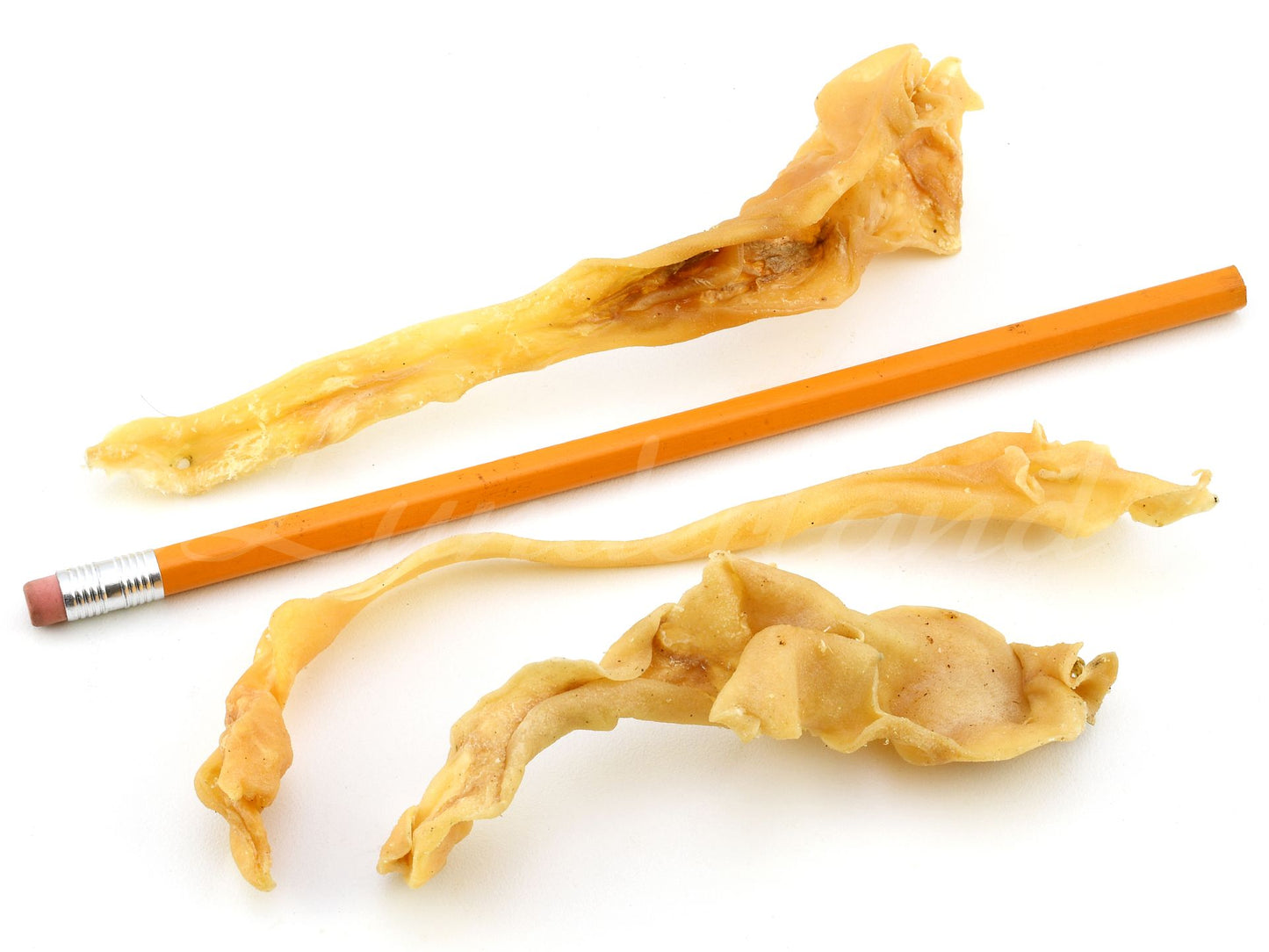 Piel de cordero para perros - Snack natural