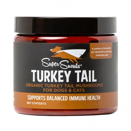 Turkey Tail: hongo inmunoregulador