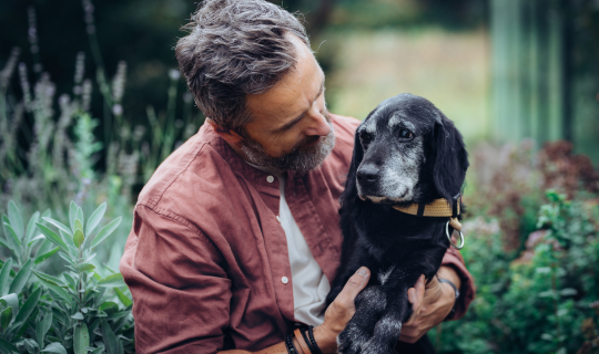 Alimentación para perros mayores: qué necesita un perro sénior