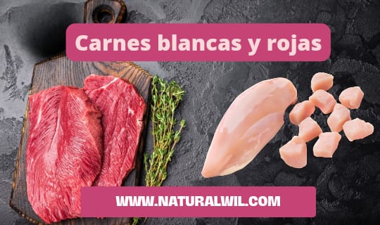 Carnes blancas y rojas para perros: diferencias, beneficios y cuál elegir