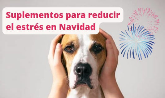 Suplementos para ayudar a los perros a reducir el estrés en Navidad