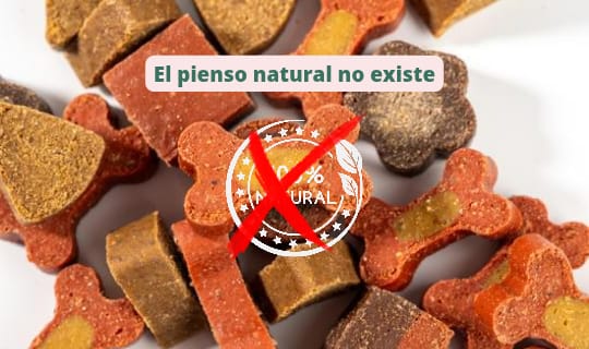 El pienso natural no existe: lo que debes saber sobre la alimentación de tu perro o gato