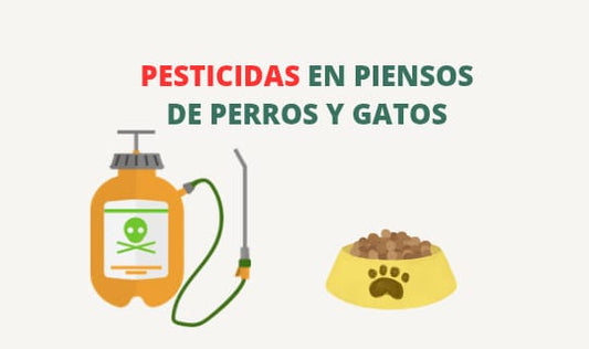 Pesticidas en el pienso de perros y gatos
