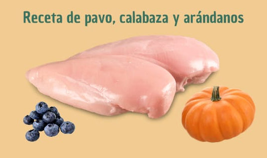 Receta casera de pavo con calabaza y arándanos