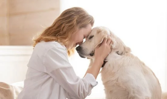 ¿Por qué las mujeres se involucran más en el cuidado de perros y gatos?