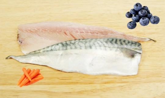 Receta de pescado azul con zanahoria y arándanos