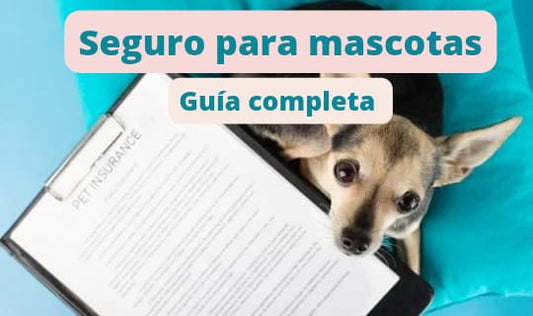 Seguro para mascotas: guía completa con precios y coberturas en 2025