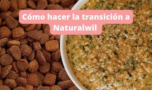 Guía de transición a la comida natural deshidratada Naturalwil