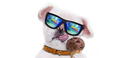 HELADOS ESPECIALES PARA PERROS