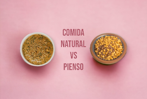 COMIDA NATURAL CONTRA PIENSO HIPOALERGÉNICO