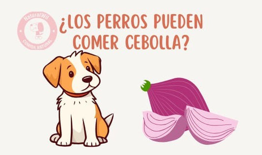 ¿Los perros pueden comer cebolla?