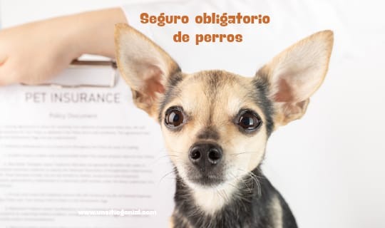 Seguro obligatorio de perros
