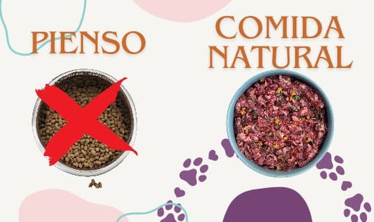 Alternativas al pienso para mascotas: comida deshidratada y dieta barf