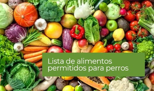 Lista de alimentos permitidos para perros