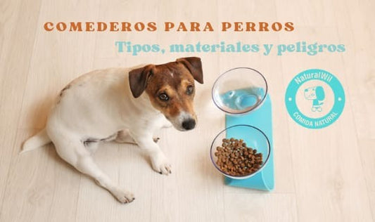 Comedero para perros: tipos, materiales y peligros