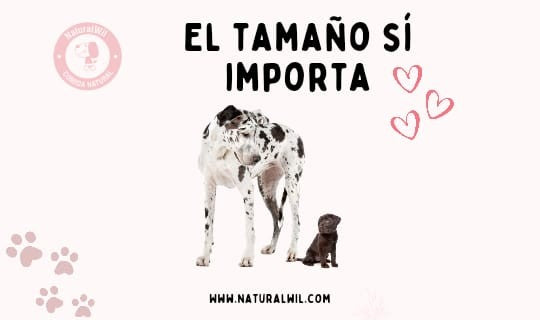 El tamaño sí importa