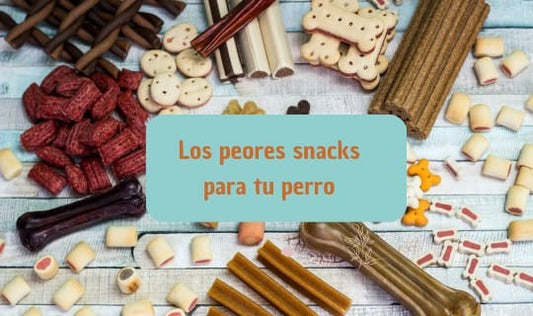 Los peores snacks para tu perro