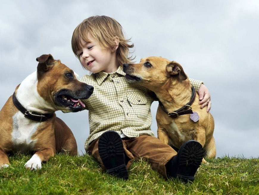 6 Consejos para que perros y niños jueguen juntos