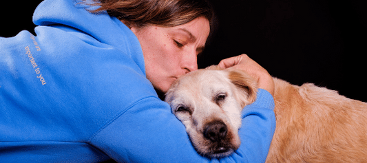 ALIMENTACION Y CUIDADOS PARA PERROS Y GATOS SENIOR