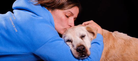 Alimentación y cuidados para perros y gatos senior