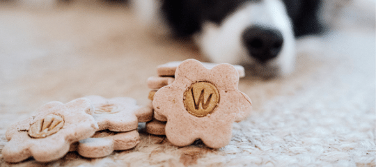 RECETA GALLETAS PARA PERROS DE  MANZANA Y CANELA