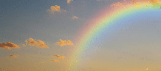 EL DUELO POR TU MASCOTA: ESPÉRAME EN EL ARCOIRIS