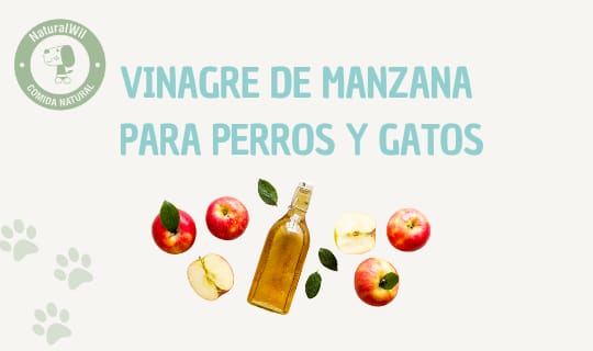 Vinagre de manzana para perros y gatos