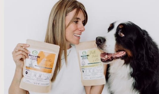 Alergias ¿Qué comida natural es mejor para perros con alergias? 🐶🌱