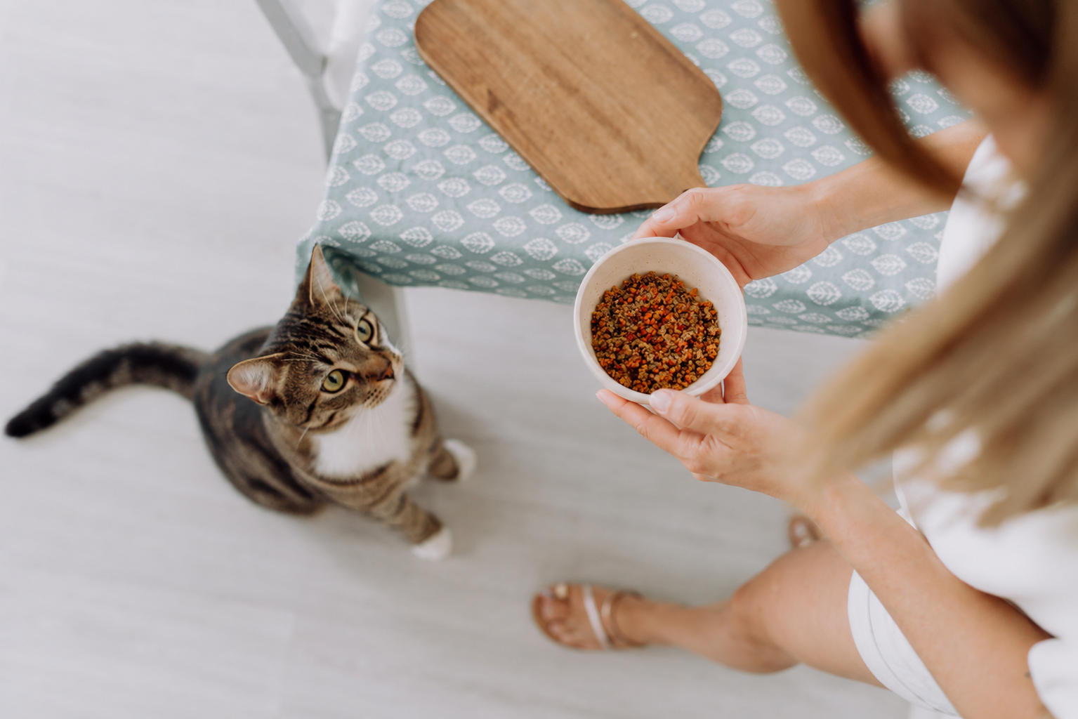 Cómo calcular las raciones de una dieta natural para gatos