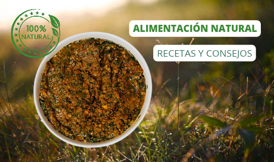 Alimentación natural para perros: recetas y consejos