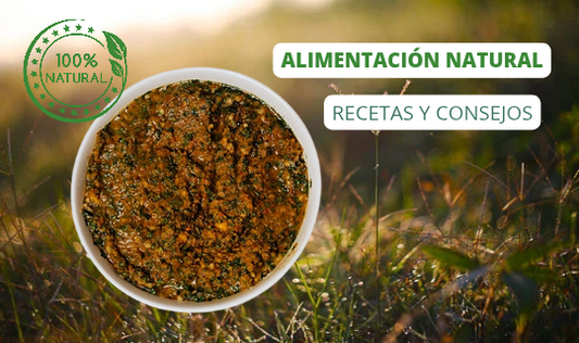 Alimentación natural para perros: recetas y consejos