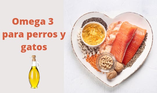 Omega3 para perros y gatos
