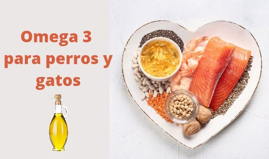 Omega3 para perros y gatos