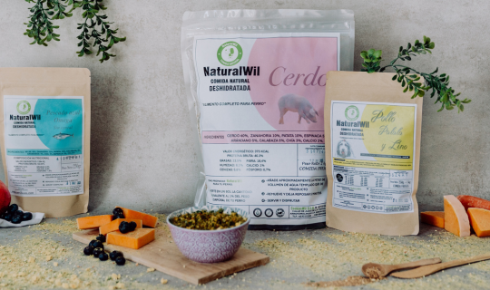Razones para cambiar de pienso a comida natural