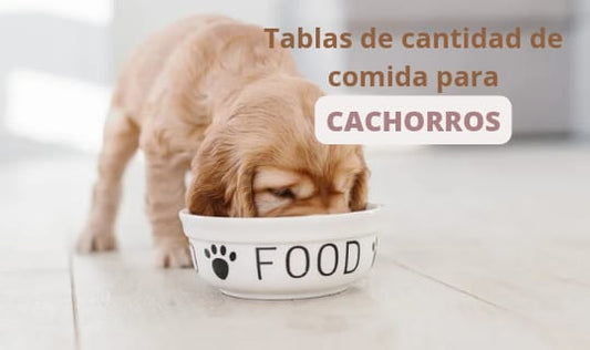 Tabla de cantidad de comida para cachorros