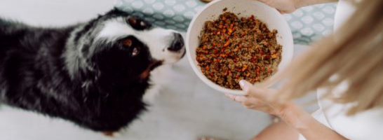 Comida deshidratada natural para perros