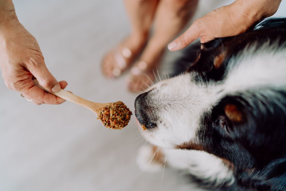 Comida deshidratada natural para perros