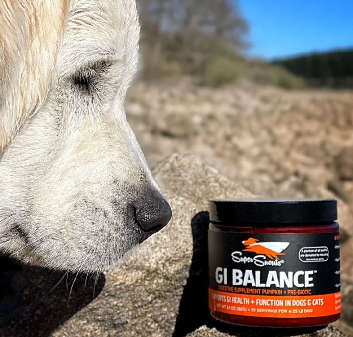 GI Balance Super Snouts - Suplemento Digestivo para perros y gatos