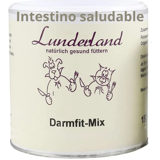 Intestino saludable  Lunderland