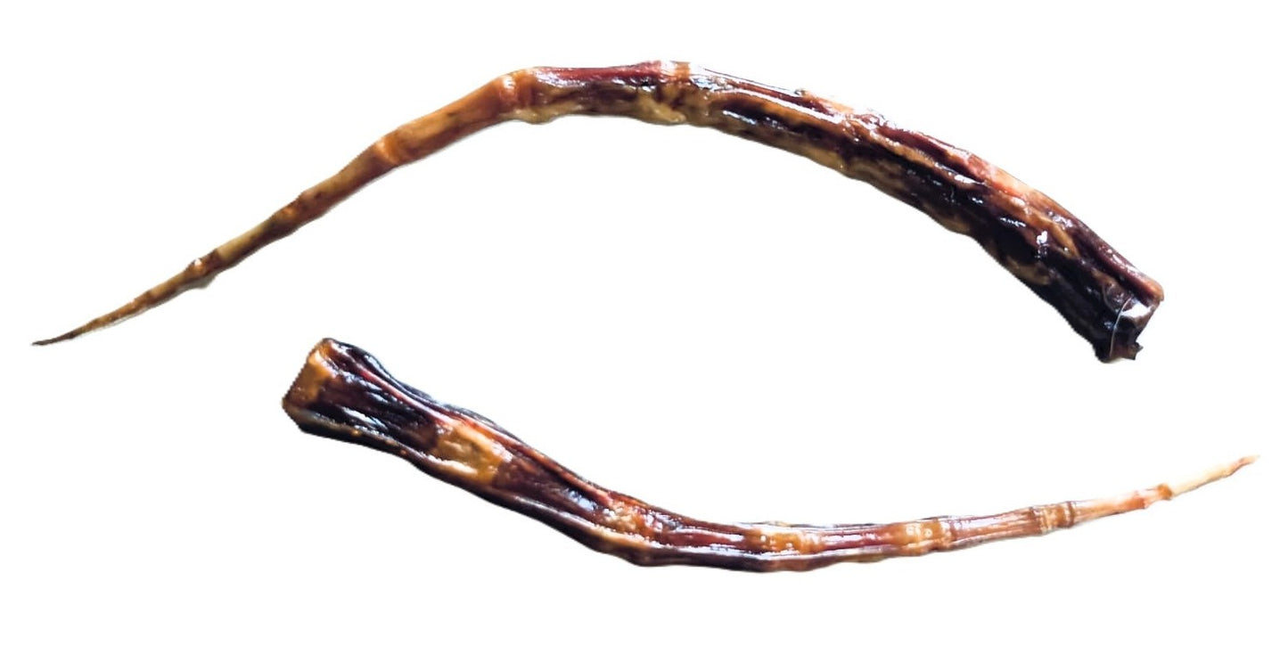 Rabo de toro para perros - Snack natural