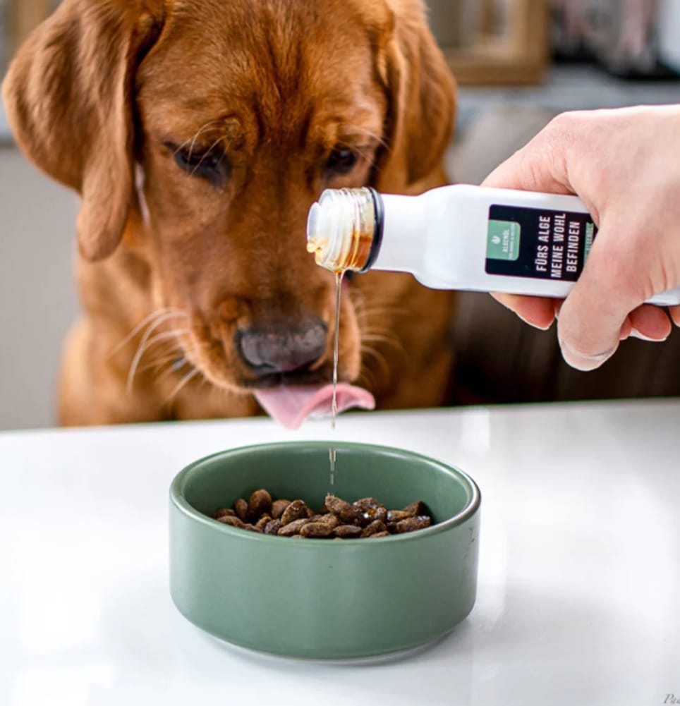 Aceite de algas con Omega 3 para perros y gatos