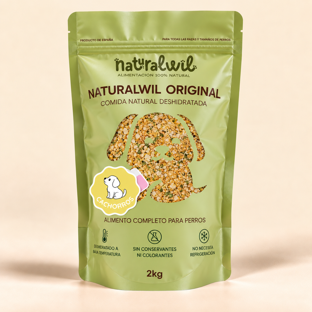 Comida natural para cachorros, perras lactantes y gestantes