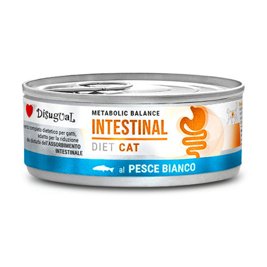 Disugual lata intestinal de pescado blanco para gatos